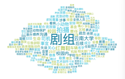 事件舆评 | “红舞鞋剧组开快车撞死猫”:生命漠视背后的行业信任危机与伦理警示